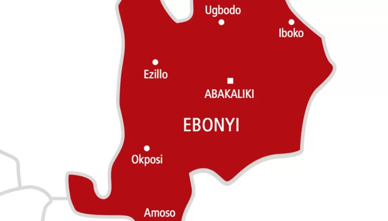 Ebonyi Artiste Beaten To A Pulp Over Campaign Song