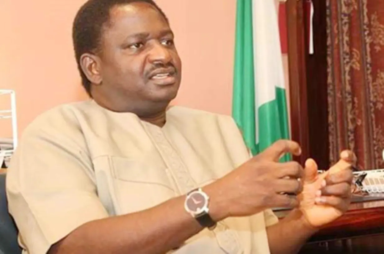 Netizens knock Femi Adesina over ‘survival on N20k’ statement