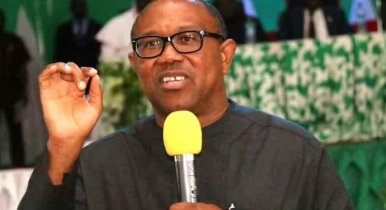 Only Investment in Human Capital can Bring Development to Nigeria - Peter Obi