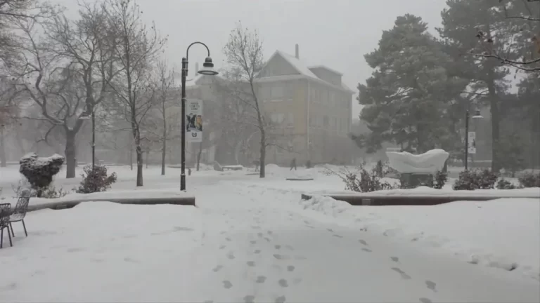 Parts of Northern US Shut Down Ahead of Winter Storm
