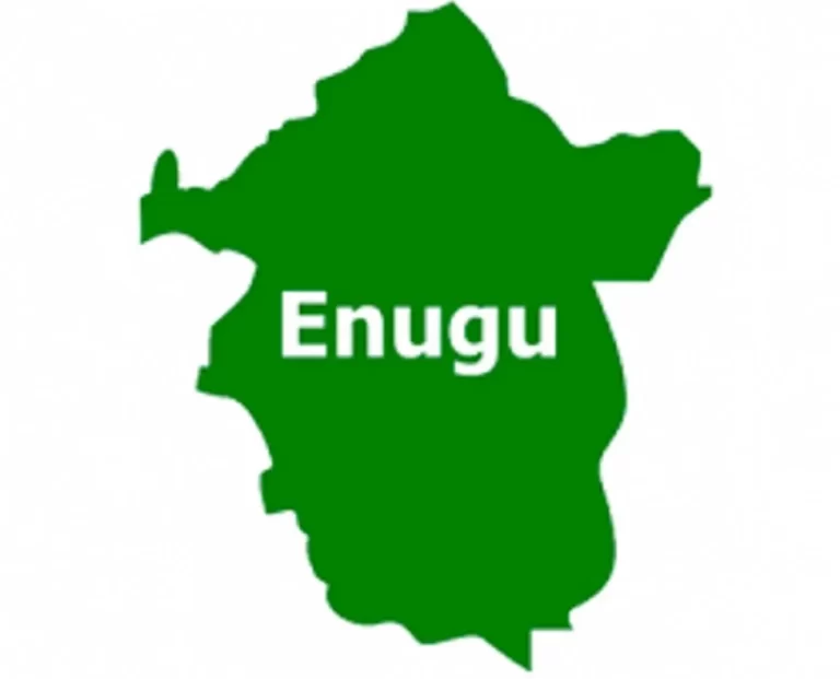 Enugu: Catholic Priests save INEC official from attack by youths