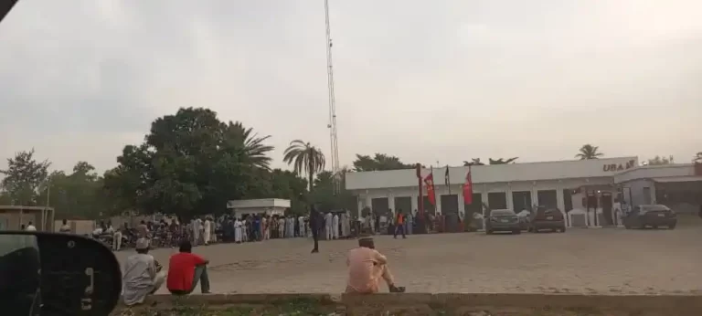 KANO
