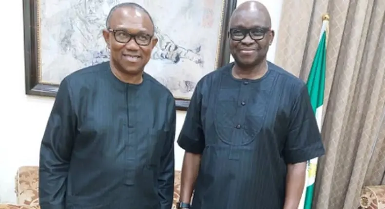 Don’t allow PDP ‘stain your white’, Fayose advises Peter Obi