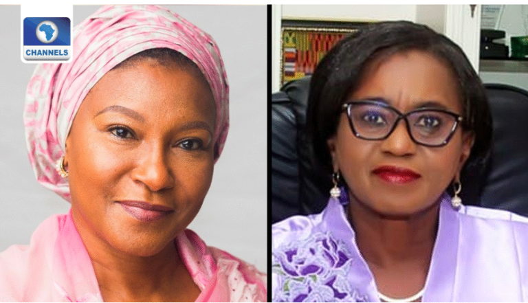 #IWD2023: Women Get 15 Out Of 423 Senate, Reps Seats