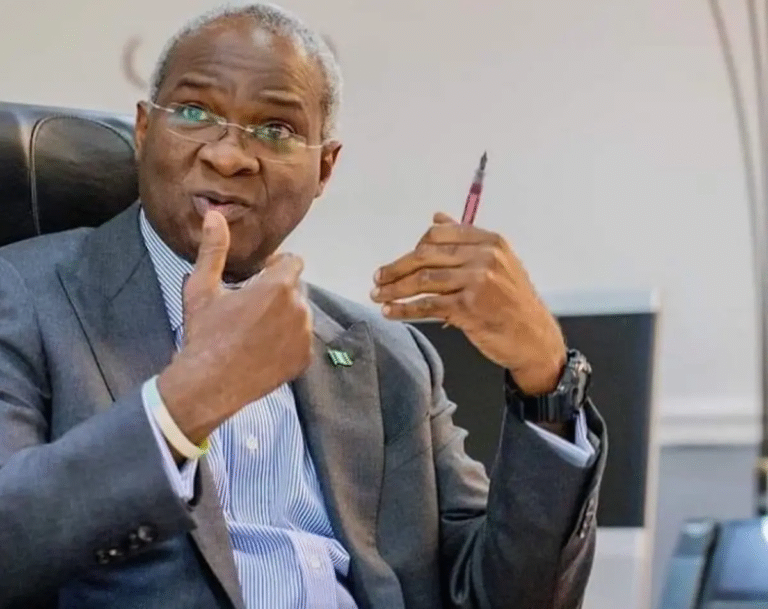 Governance not About Sainthood but About Efficiency - Fashola
