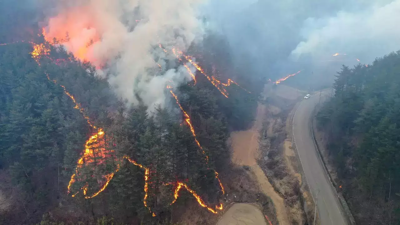 Hundreds Flee from Wildfire in South Korean Seaside City