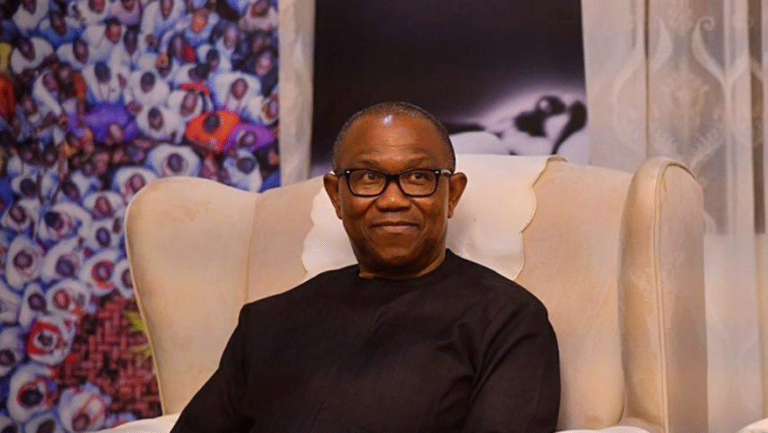 Labour Party: Peter Obi’s Traducers Trailed Him to UK, Bent on Implicating Him