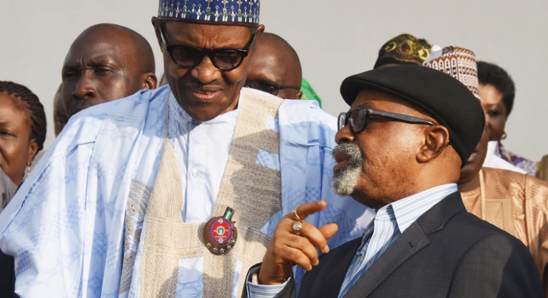 'There is nothing like a warning strike,' FG warns doctors