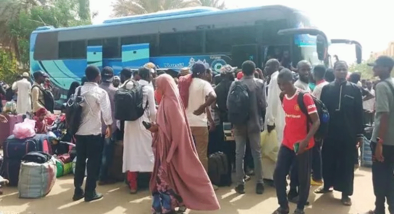 Egypt Finally Opens Borders to Nigerians After Buhari’s Intervention