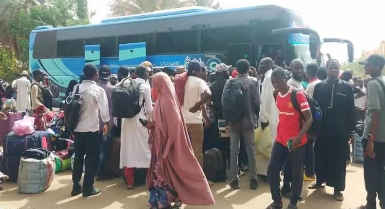 Egypt Finally Opens Borders to Nigerians After Buhari’s Intervention