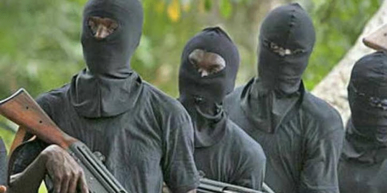 They Hit Me on the Head with AK-47 When I Told my Kidnappers to Accept N5Million Ransom - Rescued Nigeria Doctor