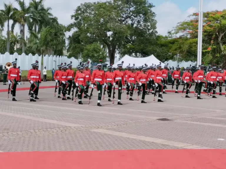 PARADE-GAURDS