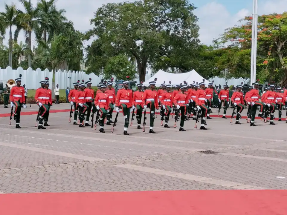 PARADE-GAURDS