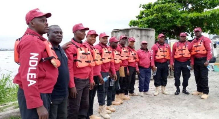 NDLEA destroyed 4 Cannabis farmlands in Bauchi – Commander