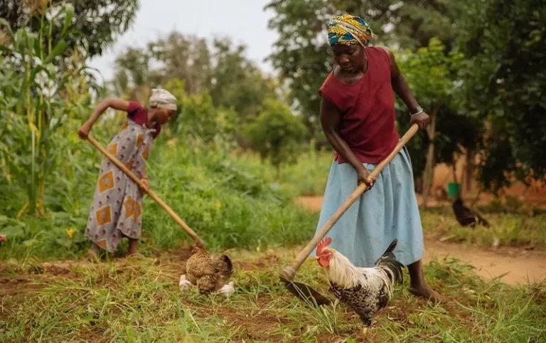 women_farmers_tanzania