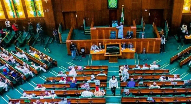 Reps reject motion seeking to revert petrol price to ₦537 per litre