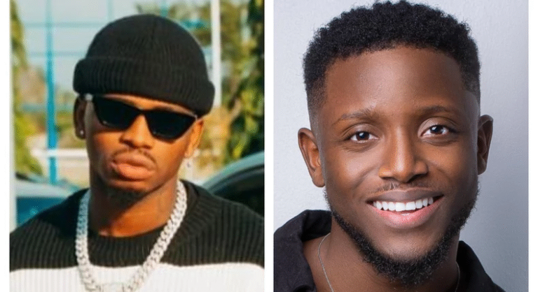 Tanzanian superstar Diamond Platnumz features Chike on new single 'My Baby'