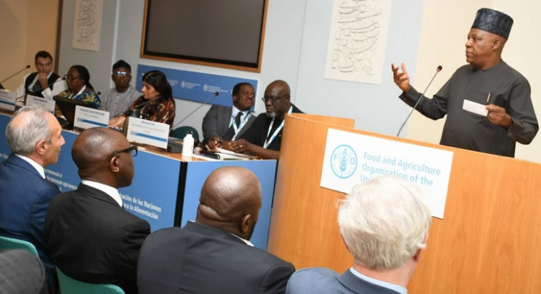 VP Shettima woos foreign investors in the UN Food Summit