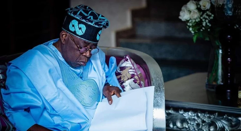 Tinubu's 28 ministerial nominees and states