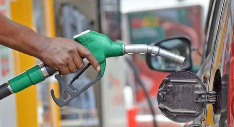 Economist tasks FG on reforms to ease fuel subsidy removal