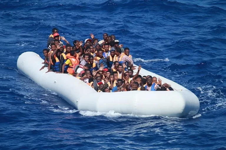 migrat
