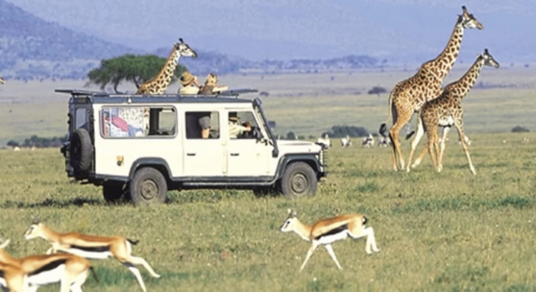 Kenya’s tourism market makes an impressive comeback