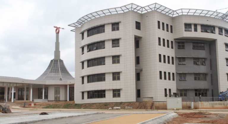 NILDS decries low female representation in Nigerian politics