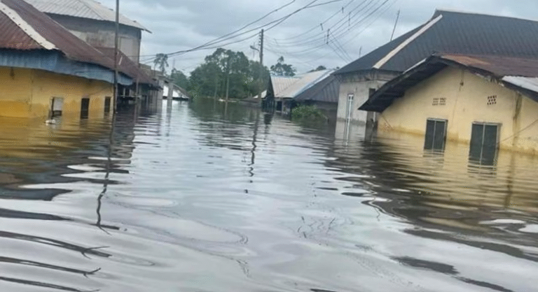 Overflowing rivers flood 700 houses, farmlands in Bauchi