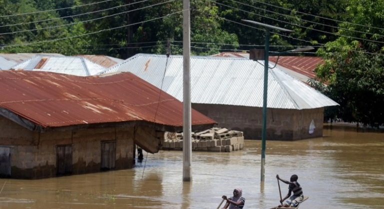 NEMA begs Nigerians to calm down as Cameroon releases water from Lagdo Dam