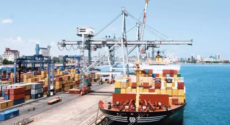 NPA orders immediate suspension of virtual park operations
