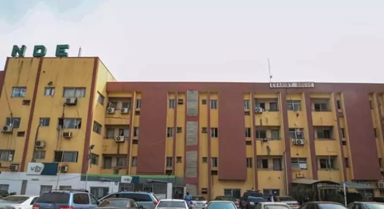 NDE trains 30 unemployed persons on environmental beautification in Imo