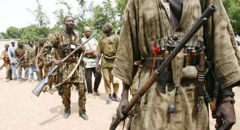 'Bandits’ attack on farmers may worsen food crisis in Nigeria' - Group