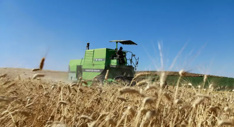 Nigeria's agriculture impacted as fertilizer prices triple amid Russia-Ukraine conflict