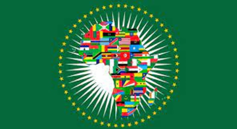 African Union wants at least a $100 billion allocation from IMF's special drawing rights