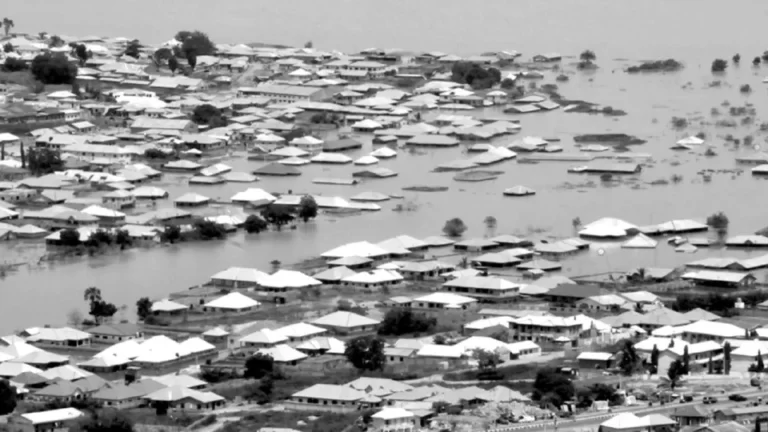 Flood-3