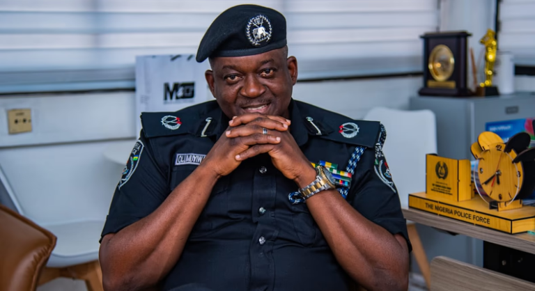 Spokesman warns Nigerians to stop operating fake police websites, apps
