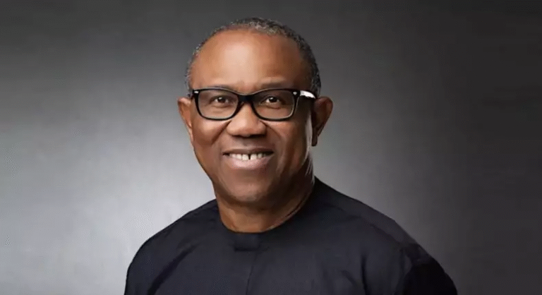 Nigerians are seen as fraudsters because of Tinubu's certificate saga - Peter Obi