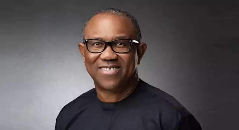 Nigerians are seen as fraudsters because of Tinubu's certificate saga - Peter Obi