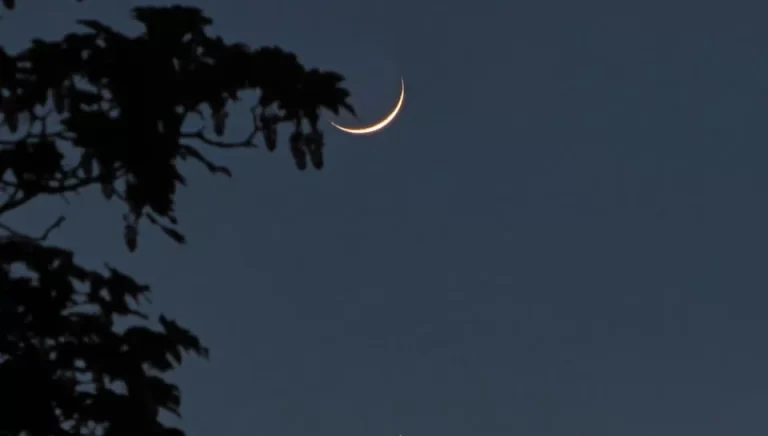 MOON