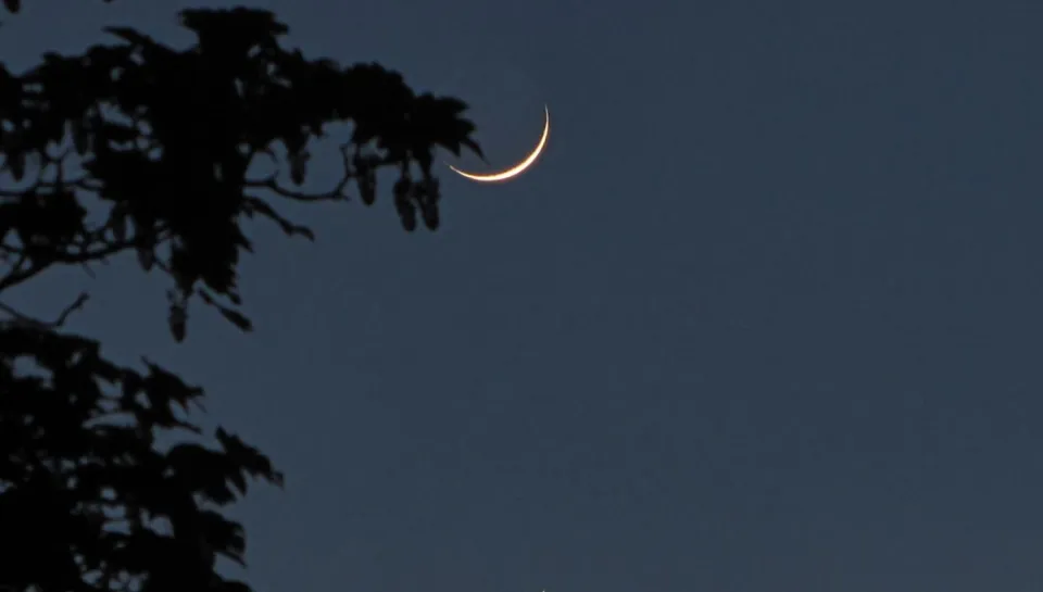 MOON