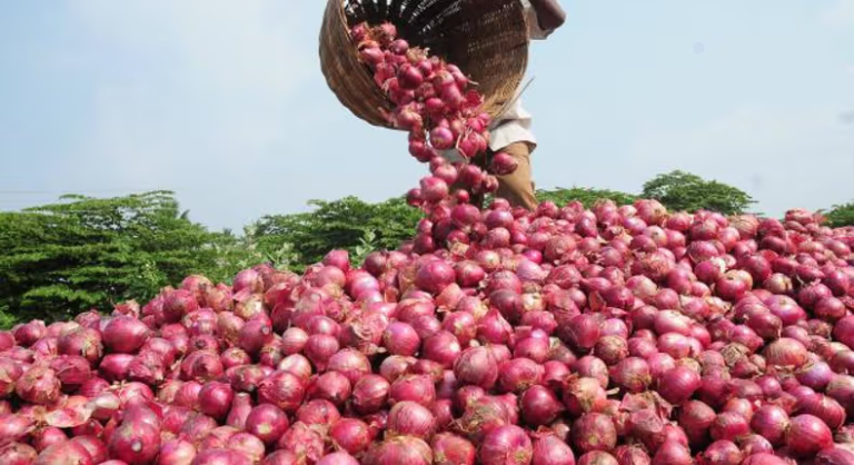 Enugu Govt urges farmers to engage in onion farming to boost production in the state