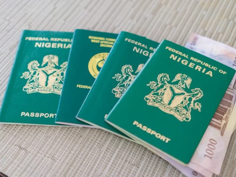 nigerian-passports-with-naira