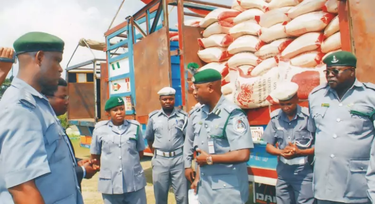 Nigeria Custom hands over 665 donkey skins, 450 blocs of Indian hemp in Kano