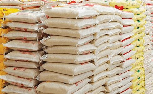 01-rice-e1708650000866