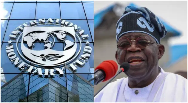IMF-Tinubu