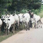 Herdsmen