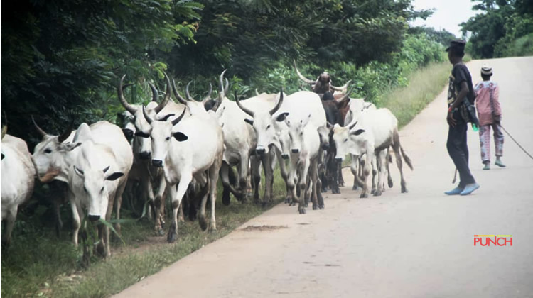 Herdsmen