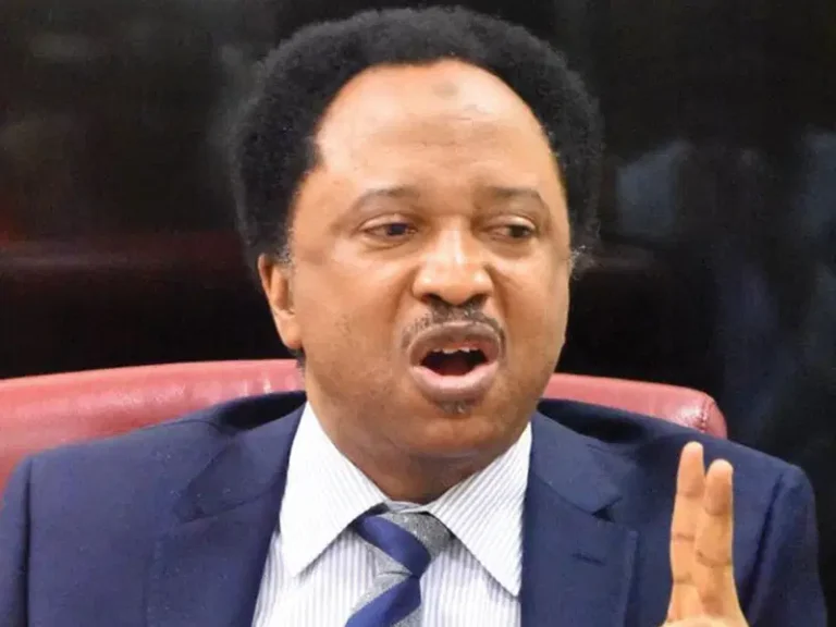 Shehu-Sani (1)