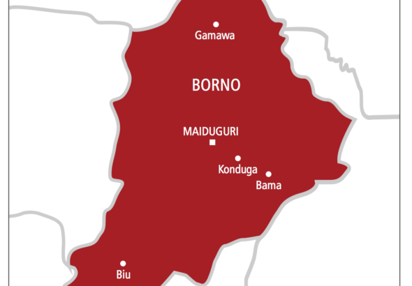 borno-map