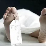 corpse